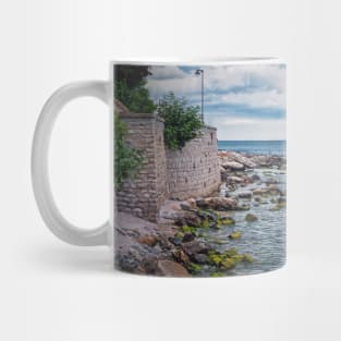 Beautiful seascape Mug